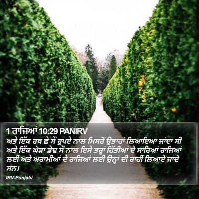 1 ਰਾਜਿਆਂ 10:29 PANIRV Bible Verse Image