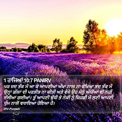 1 ਰਾਜਿਆਂ 10:7 PANIRV Bible Verse Image