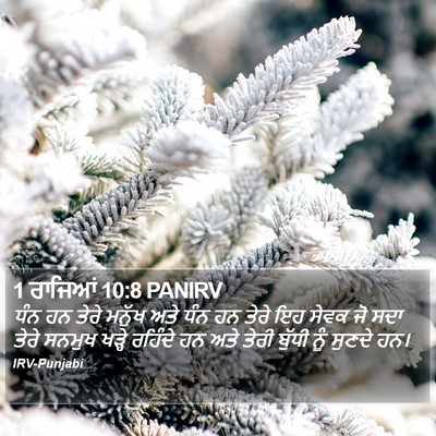 1 ਰਾਜਿਆਂ 10:8 PANIRV Bible Verse Image