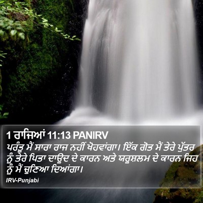 1 ਰਾਜਿਆਂ 11:13 PANIRV Bible Verse Image