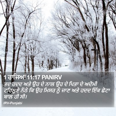 1 ਰਾਜਿਆਂ 11:17 PANIRV Bible Verse Image