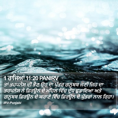 1 ਰਾਜਿਆਂ 11:20 PANIRV Bible Verse Image
