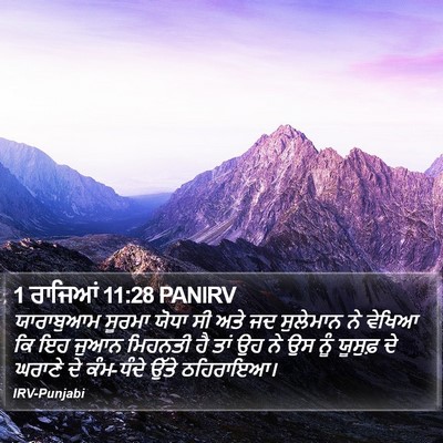 1 ਰਾਜਿਆਂ 11:28 PANIRV Bible Verse Image