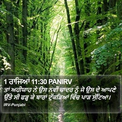 1 ਰਾਜਿਆਂ 11:30 PANIRV Bible Verse Image