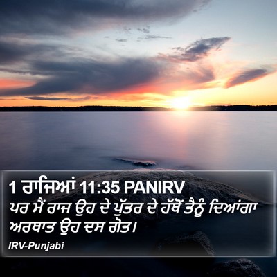 1 ਰਾਜਿਆਂ 11:35 PANIRV Bible Verse Image