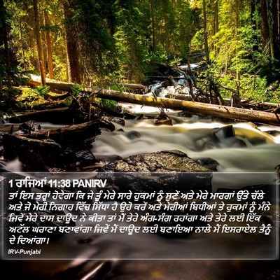 1 ਰਾਜਿਆਂ 11:38 PANIRV Bible Verse Image