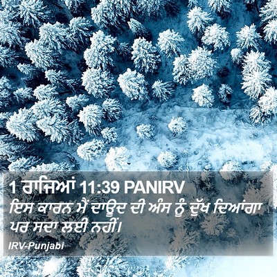 1 ਰਾਜਿਆਂ 11:39 PANIRV Bible Verse Image