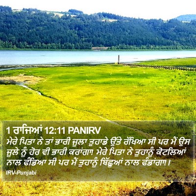 1 ਰਾਜਿਆਂ 12:11 PANIRV Bible Verse Image