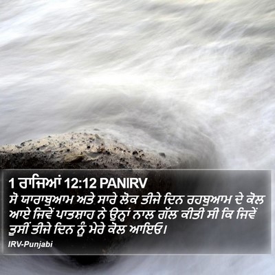 1 ਰਾਜਿਆਂ 12:12 PANIRV Bible Verse Image