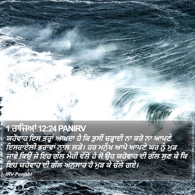 1 ਰਾਜਿਆਂ 12:24 PANIRV Bible Verse Image