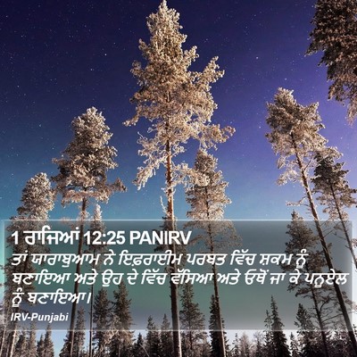 1 ਰਾਜਿਆਂ 12:25 PANIRV Bible Verse Image
