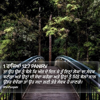 1 ਰਾਜਿਆਂ 12:7 PANIRV Bible Verse Image