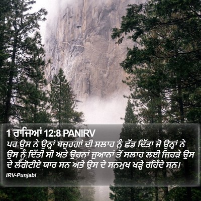 1 ਰਾਜਿਆਂ 12:8 PANIRV Bible Verse Image