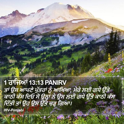 1 ਰਾਜਿਆਂ 13:13 PANIRV Bible Verse Image