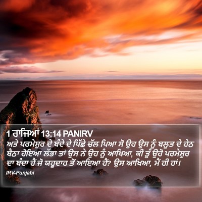 1 ਰਾਜਿਆਂ 13:14 PANIRV Bible Verse Image