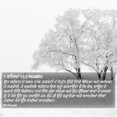 1 ਰਾਜਿਆਂ 13:2 PANIRV Bible Verse Image