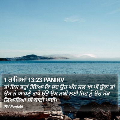 1 ਰਾਜਿਆਂ 13:23 PANIRV Bible Verse Image