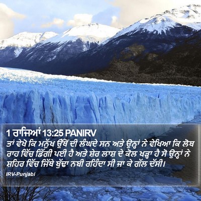 1 ਰਾਜਿਆਂ 13:25 PANIRV Bible Verse Image