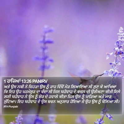 1 ਰਾਜਿਆਂ 13:26 PANIRV Bible Verse Image