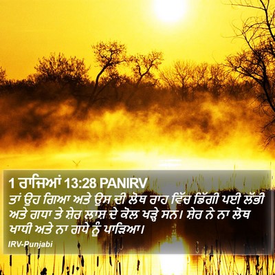 1 ਰਾਜਿਆਂ 13:28 PANIRV Bible Verse Image