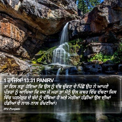 1 ਰਾਜਿਆਂ 13:31 PANIRV Bible Verse Image