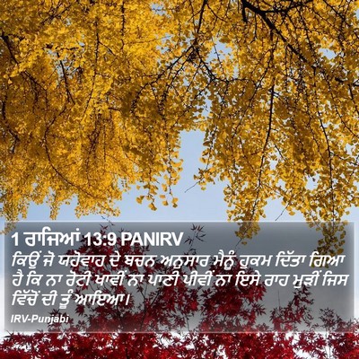 1 ਰਾਜਿਆਂ 13:9 PANIRV Bible Verse Image
