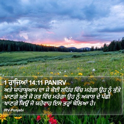 1 ਰਾਜਿਆਂ 14:11 PANIRV Bible Verse Image