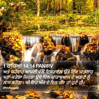 1 ਰਾਜਿਆਂ 14:14 PANIRV Bible Verse Image