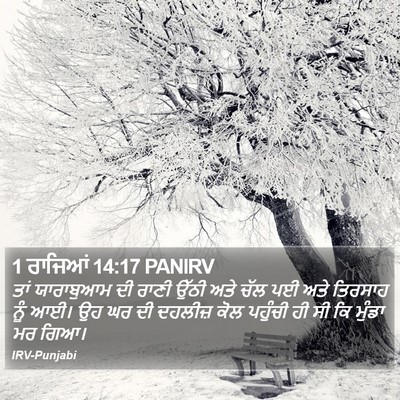 1 ਰਾਜਿਆਂ 14:17 PANIRV Bible Verse Image