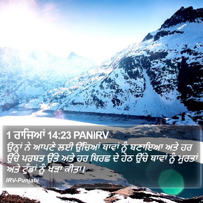 1 ਰਾਜਿਆਂ 14:23 PANIRV Bible Verse Image