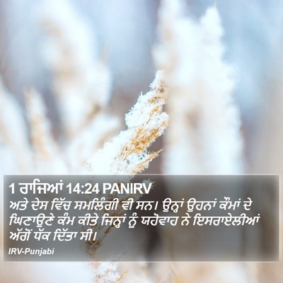 1 ਰਾਜਿਆਂ 14:24 PANIRV Bible Verse Image