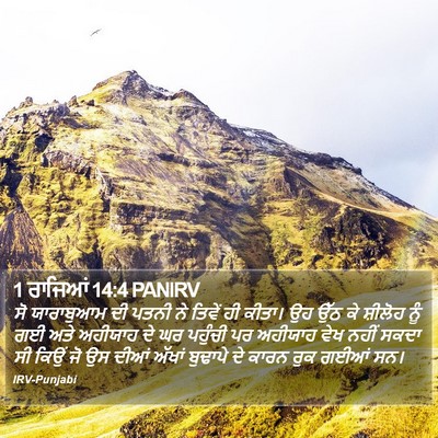 1 ਰਾਜਿਆਂ 14:4 PANIRV Bible Verse Image