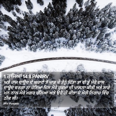 1 ਰਾਜਿਆਂ 14:8 PANIRV Bible Verse Image