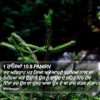 1 ਰਾਜਿਆਂ 15:8 PANIRV Bible Verse Image