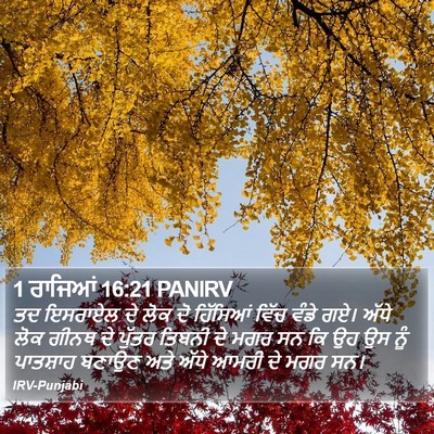1 ਰਾਜਿਆਂ 16:21 PANIRV Bible Verse Image