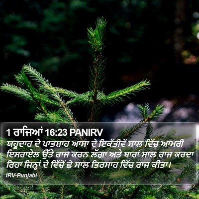1 ਰਾਜਿਆਂ 16:23 PANIRV Bible Verse Image