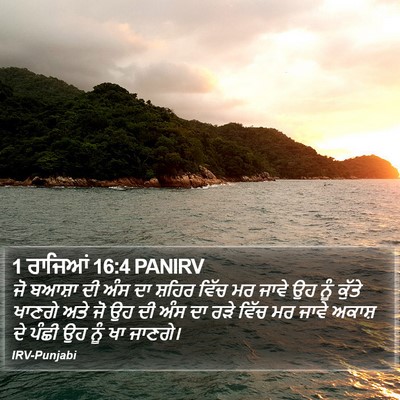 1 ਰਾਜਿਆਂ 16:4 PANIRV Bible Verse Image
