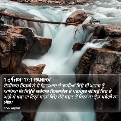 1 ਰਾਜਿਆਂ 17:1 PANIRV Bible Verse Image