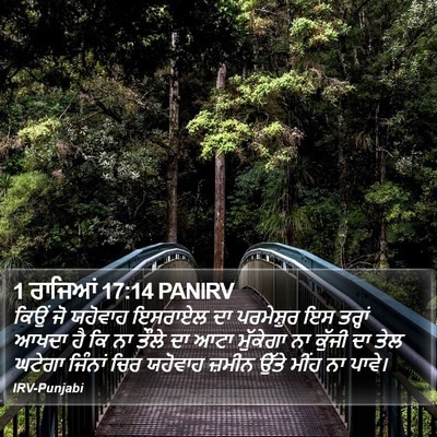 1 ਰਾਜਿਆਂ 17:14 PANIRV Bible Verse Image