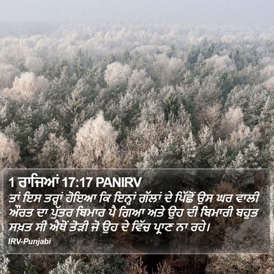 1 ਰਾਜਿਆਂ 17:17 PANIRV Bible Verse Image