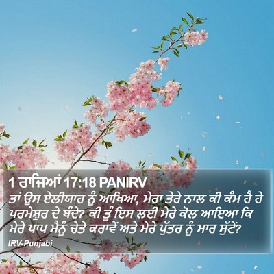 1 ਰਾਜਿਆਂ 17:18 PANIRV Bible Verse Image
