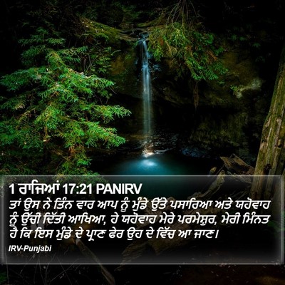 1 ਰਾਜਿਆਂ 17:21 PANIRV Bible Verse Image