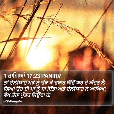 1 ਰਾਜਿਆਂ 17:23 PANIRV Bible Verse Image