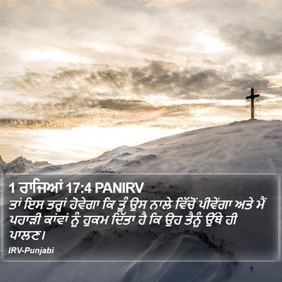 1 ਰਾਜਿਆਂ 17:4 PANIRV Bible Verse Image