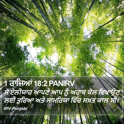 1 ਰਾਜਿਆਂ 18:2 PANIRV Bible Verse Image
