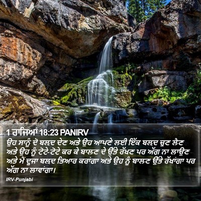 1 ਰਾਜਿਆਂ 18:23 PANIRV Bible Verse Image