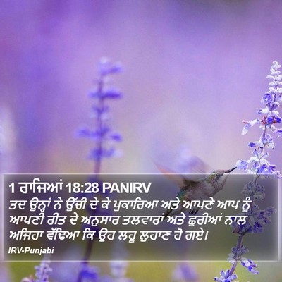 1 ਰਾਜਿਆਂ 18:28 PANIRV Bible Verse Image
