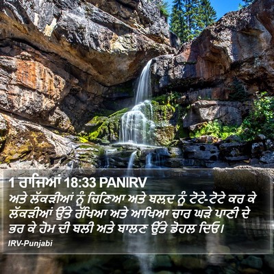 1 ਰਾਜਿਆਂ 18:33 PANIRV Bible Verse Image