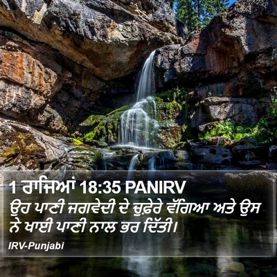 1 ਰਾਜਿਆਂ 18:35 PANIRV Bible Verse Image