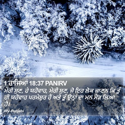 1 ਰਾਜਿਆਂ 18:37 PANIRV Bible Verse Image